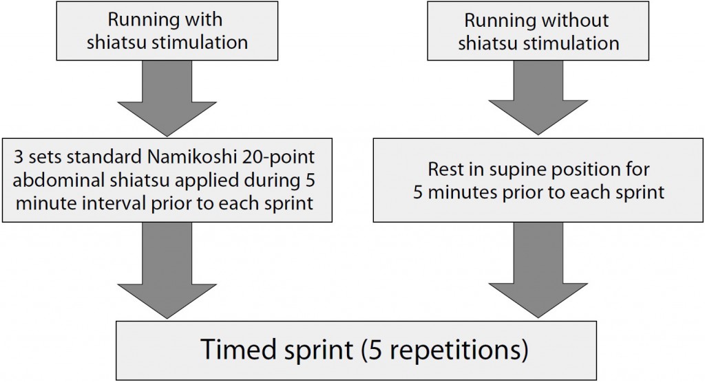 Fig. 1. Experiment protocol