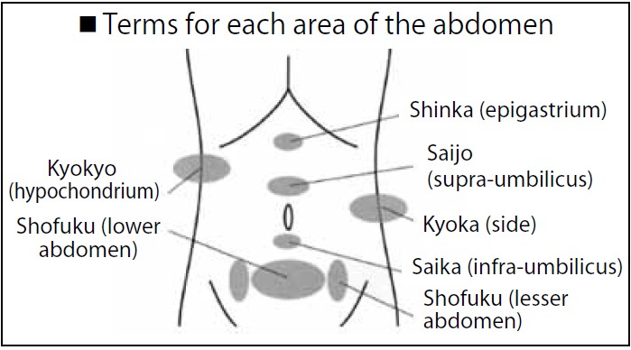 In abdominal diagnosis, responses specific to each area are examined